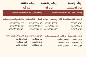 verb to understand